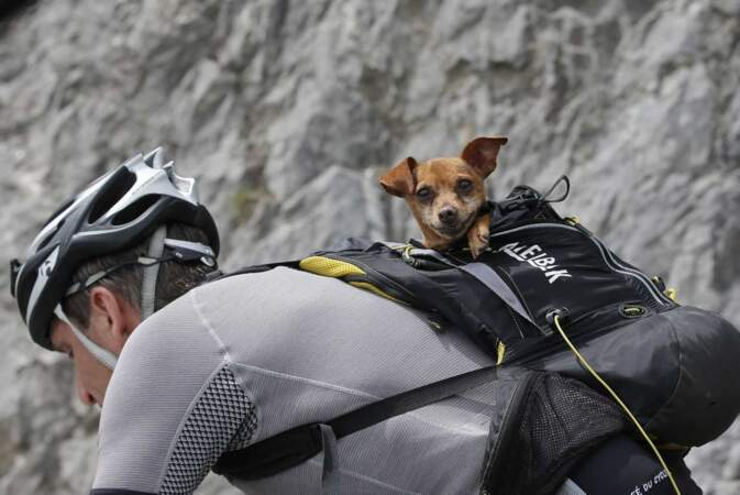 Bonne nouvelle : un cycliste arrive avec son chien (mais il ne fait pas partie du Tour... Dommage) 