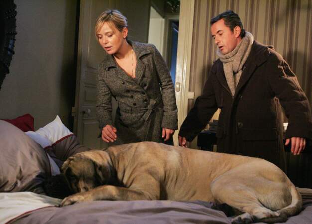 Christophe Dechavanne (Une famille en or) a lui tenu le rôle principal de la fiction Hubert et le chien (TF1)