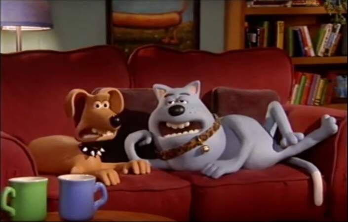 Le chien et le chat, personnages parmi les nombreux animaux des courts-métrages Creature comforts (1989)