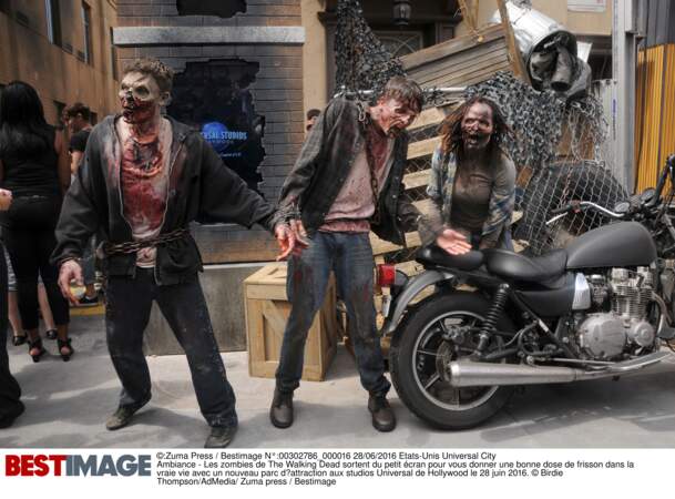 Tiens, ce serait pas la moto de Daryl ça ? 