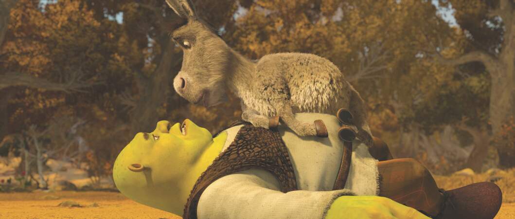 Ces deux-là sont hilarants : Shrek et l'âne !