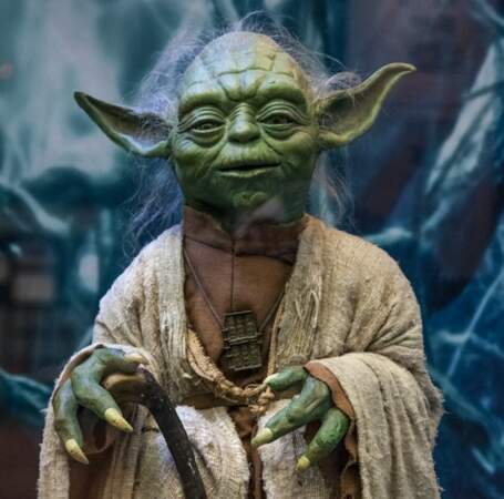 Maitre Yoda, à la tête des Jedi