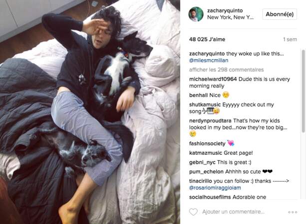 Le couple a emménagé dans un loft à New-York avec leurs 3 chiens : Noah, Skunk et Rocco
