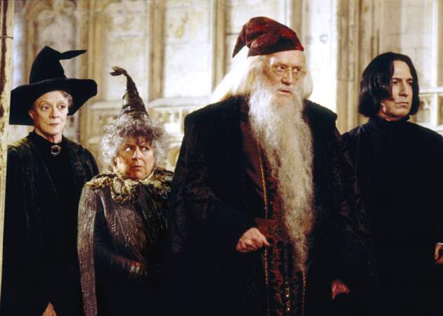 Albus Dumbledore est le directeur de l'école de sorcellerie Poudlard.