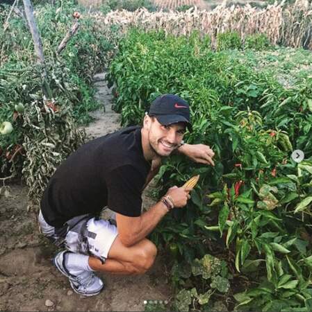 Peut-être pour faire du jardinage ? Entre Grigor Dimitrov et les piments, on risque un coup de chaud !