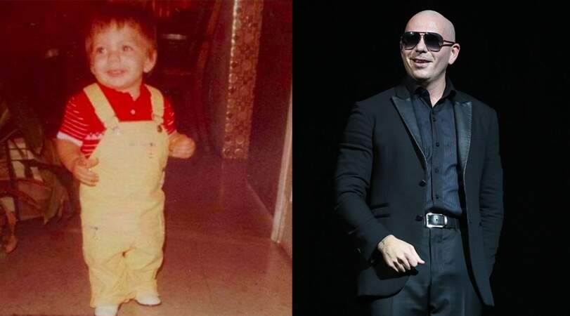 Le chanteur Pitbull. 