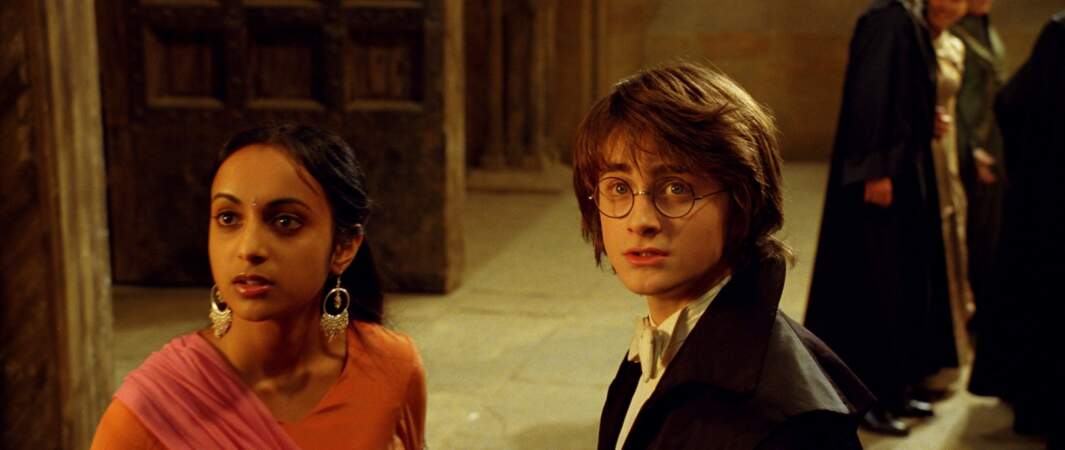2005. Harry Potter et la Coupe de feu