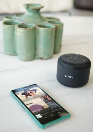 Sony BSP10 : mini enceinte pour musique en balade