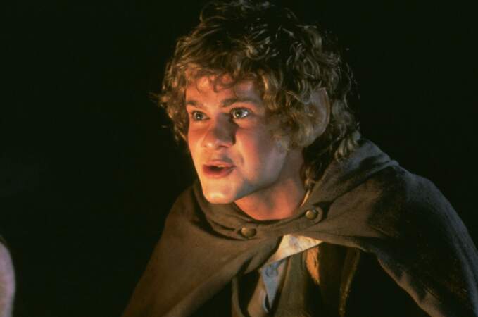 Dominic Monaghan interprétait le Hobbit Merry, l'autre compagnon de Frodon
