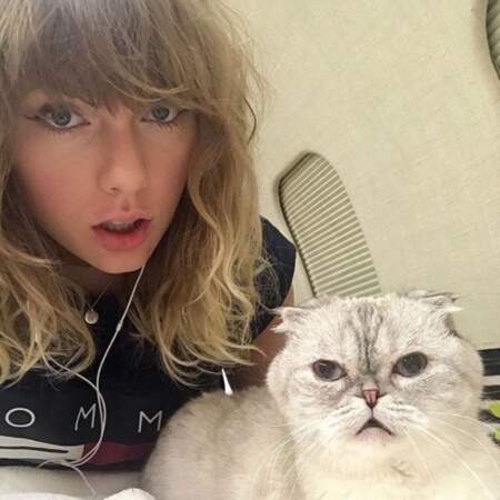Et la chatte de Taylor Swift était définitivement ravie de poser sur ce selfie.  