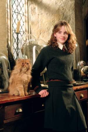 Hermione préfère les félins et possède un chat, Pattenrond