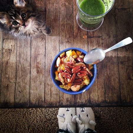 Et on peut même mixer les deux : un chat + un plat. Le combo parfait pour Instagram !