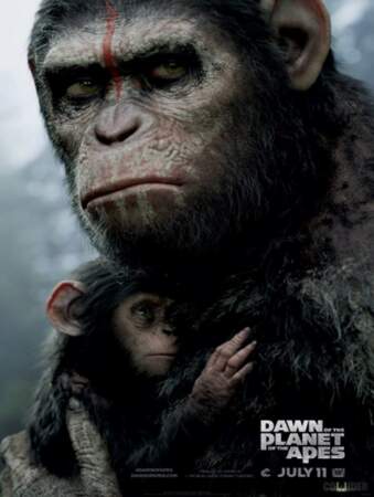 "La planète des singes : l'affrontement" : le film est prévu pour juillet