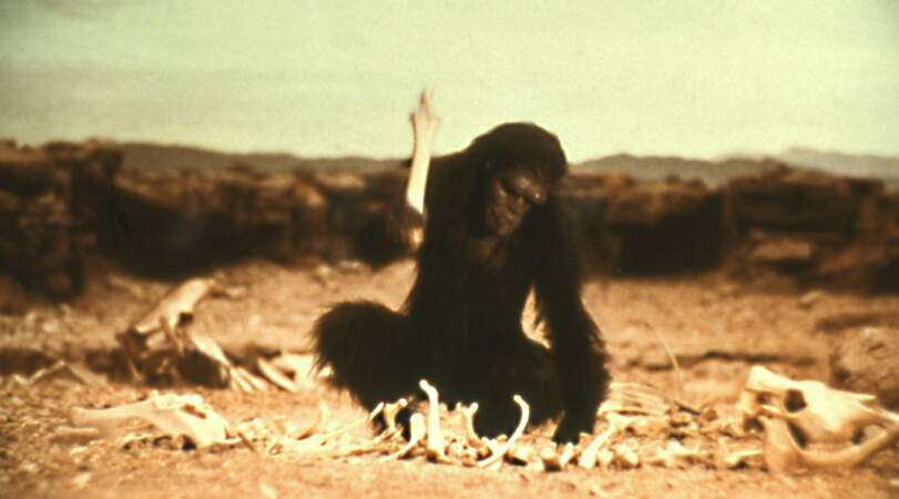 L'un des primates de 2001, L'Odyssée de l'espace (1968)