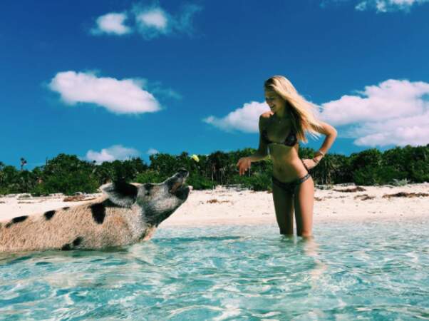 Jalousie : la top-model Vita Sidorkina a rencontré un cochon des Bahamas. 