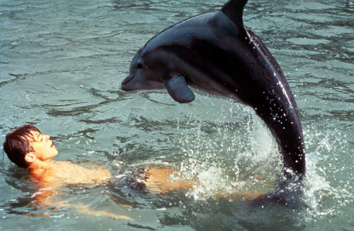 Flipper le dauphin, dans la série Flipper de 1964