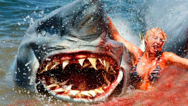 Avec deux fois plus de dents tranchantes : le requin du film en a 6000 !