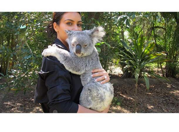 Kim Kardashian s'est aussi fait un nouveau copain... Un charmant koala qui ne sait pas qui elle est !