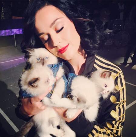 Pause câline et féline pour Katy Perry 