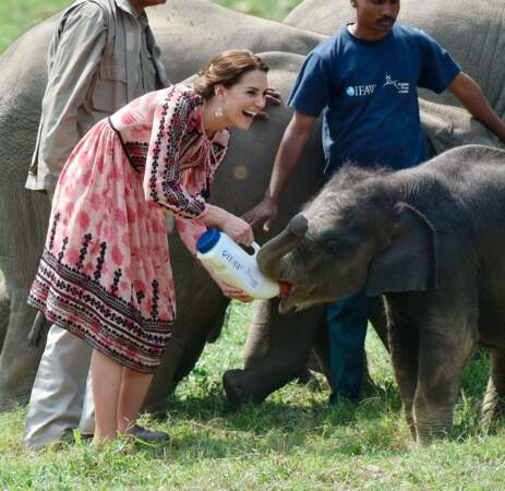 Kate apprend a donné à manger au petit éléphant 