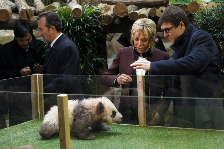 Marraine du bébé panda né au zoo de Beauval, Brigitte Macron était présente à son baptême, le 4 décembre