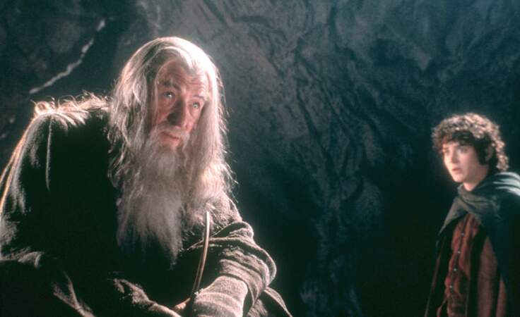 Le grand mage Gandalf le Gris avait les traits de Ian McKellen
