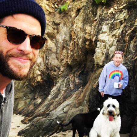 Miley Cyrus et Liam Hemsworth ont promené leurs chiens en amoureux. 