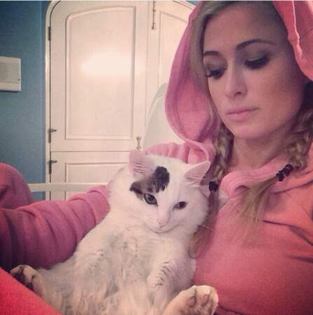 Paris Hilton, elle, s'est retenue d'habiller son chat en rose...