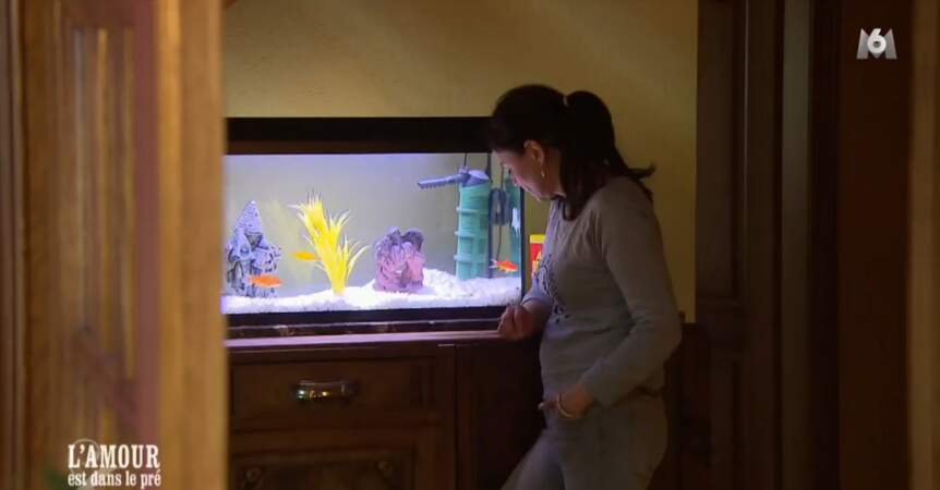 Pendant ce temps, Laetitia regarde avec fascination l'aquarium