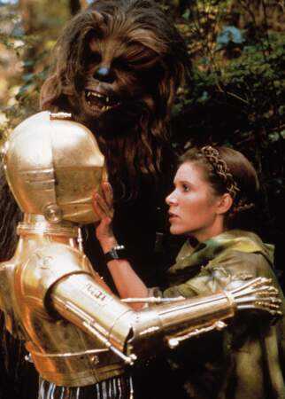 Tenue de camouflage de rigueur avec C3PO et Chewie dans le Retour du Jedi (1986)