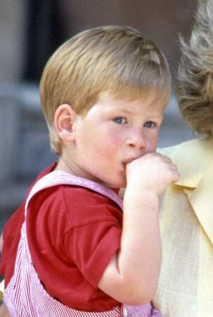 À 2 ans, dans les bras de lady Diana, Harry, né le 15 septembre 1984, est un poupon aux cheveux roux. 