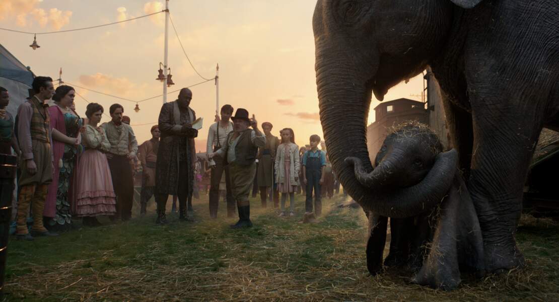 Toute la troupe du cirque Medici accueille une maman éléphant et son petit dernier aux oreilles démesurées