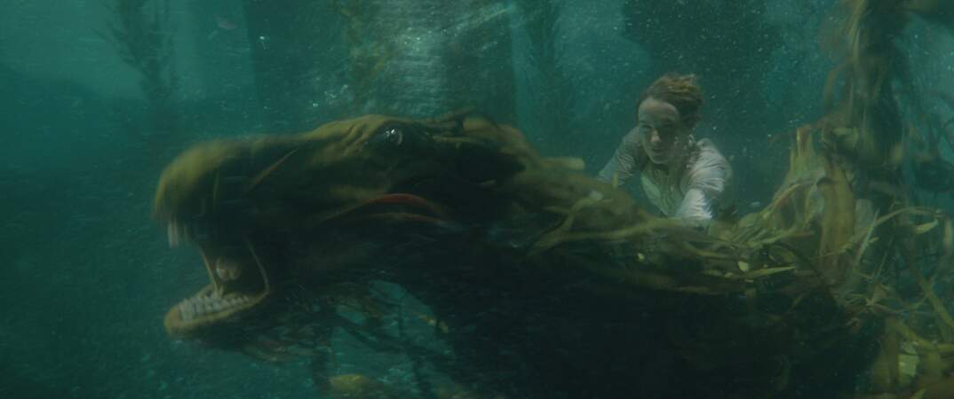 Le Kelpy est, quant à lui, un monstre marin effrayant entrainant les humains dans les eaux profondes