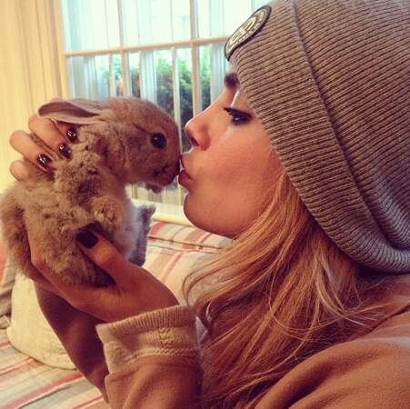 Cara a d'ailleurs un petit lapin, Cecil. Il a son propre compte Instagram @cecildelevingne