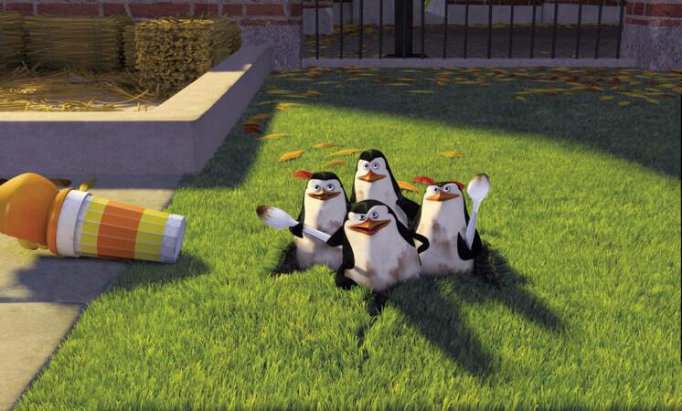 Les déjantés Pingouins ne font que passer dans Madagascar (2005)