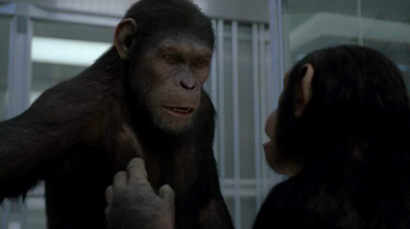 "La planète des singes : les origines" : de vrais acteurs interprétaient les singes....
