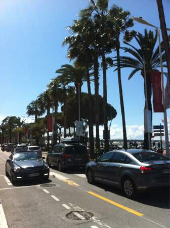 En plus, aujourd'hui, il fait beau à Cannes, ça change !