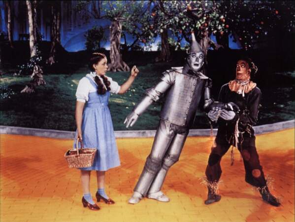 Pas de doute, c'est bien Dorothy du Magicien d'Oz !
