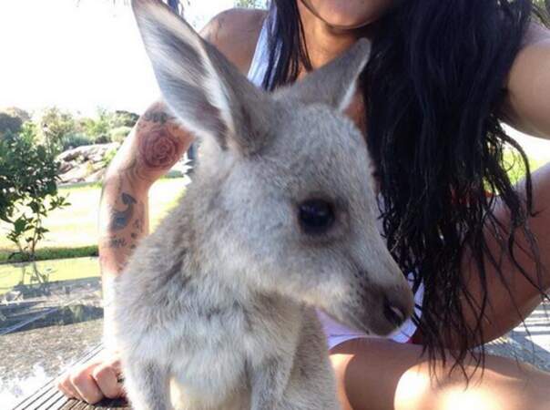 Shanna adore son petit Sydney, le kangourou trop mignon
