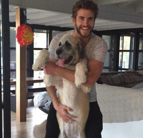 En adoptant un chien, dans un refuge dans le cas de Liam Hemsworth.
