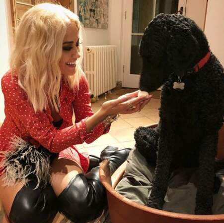 Rita Ora et un chien 