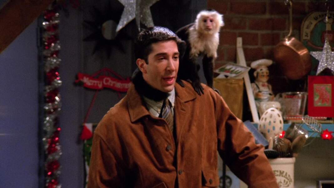 Marcel, le singe capucin que Ross a adopté dans FRIENDS