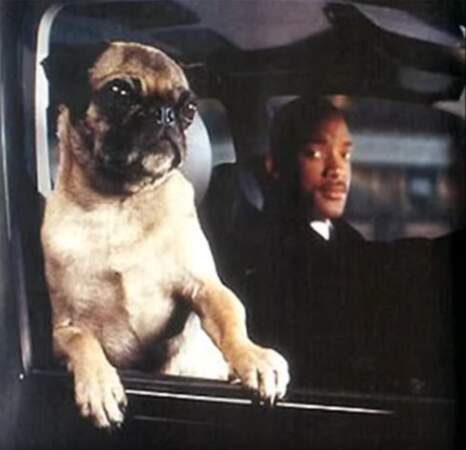 MEN IN BLACK 2 (2002) : Will Smith, obligé de faire équipe avec Frank, un chien bavard un peu saoulant