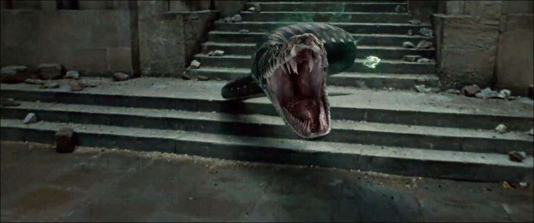 Nagini, est l'animal de compagnie de... Voldemort. Un serpent pas très commode 