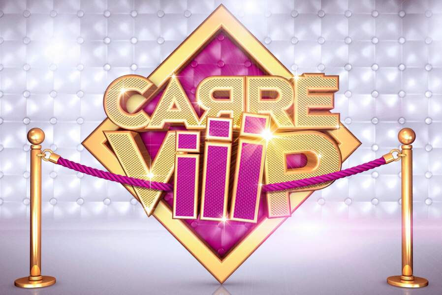 Carré Viiip où l'émission de télé-réalité de TF1 qui aura duré 13 jours. Mais que sont devenus les candidats ? 