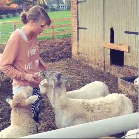 Trop mignon, Taylor Swift en compagnie de chèvres !