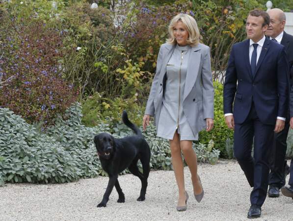 Fin août, Brigitte et Emmanuel Macron adoptent un chien, baptisé Némo