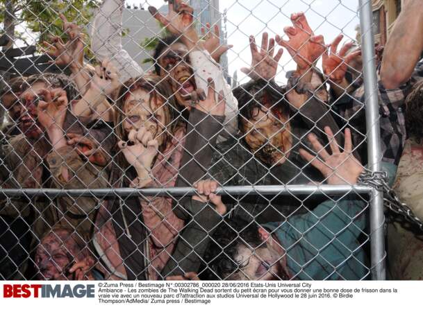 Les zombies de la série The Walking Dead ont désormais leur parc d’attraction aux studios Universal de Hollywood