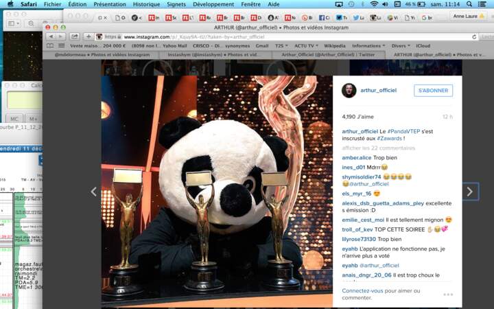 Le panda de Vendredi tout est permis s'est tapé l'incruste aux Z'Awards