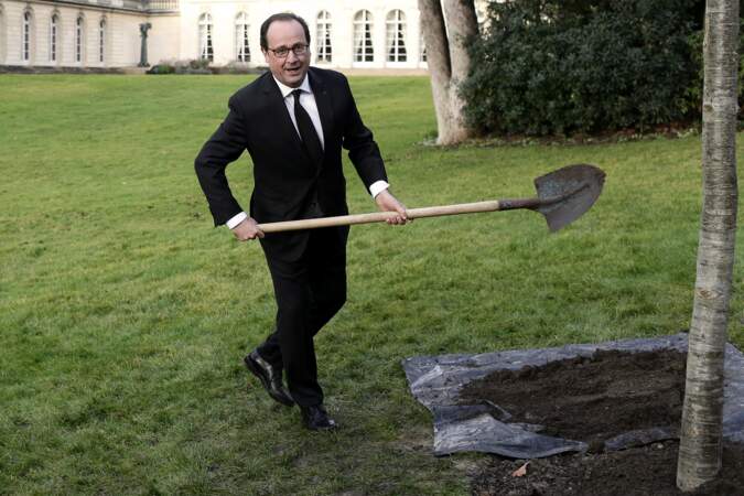 Février 2015 : le chef de l'état plante un chêne dans les jardins de l'Elysée, belle action avec la pelle !